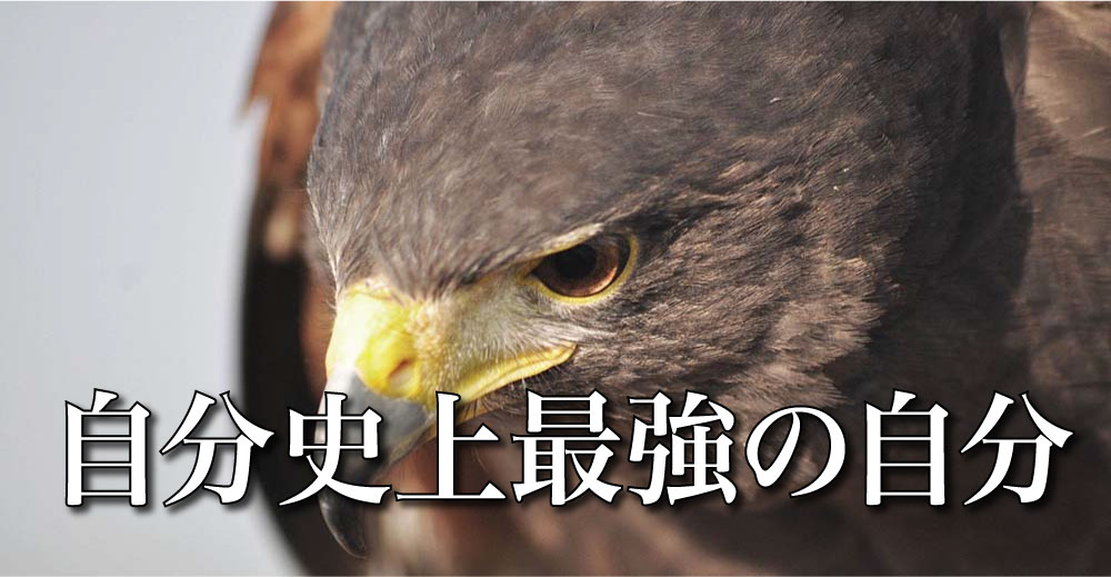 ある事で自分史上最強の自分になる。だから強くなる！稼げるようになる！